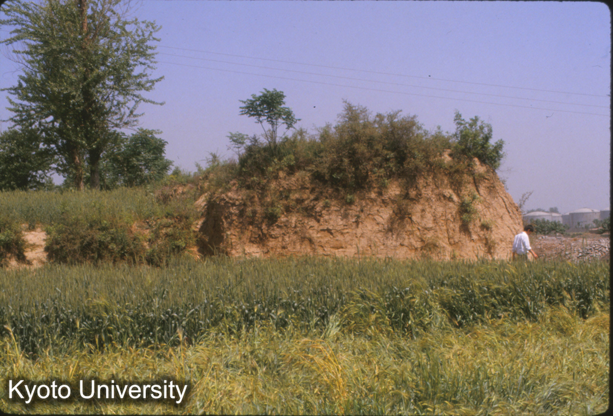 1385_漢長安城南墻西段 北西よりみる (1)