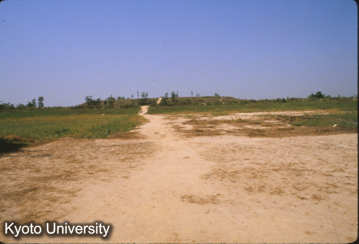 1387_秦 未央宮前殿 東西150m×南北300m_◎ (1)