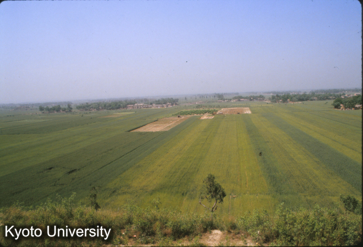 1389_未央宮より北望 石渠閣 椒房殿 天禄閣 (1)