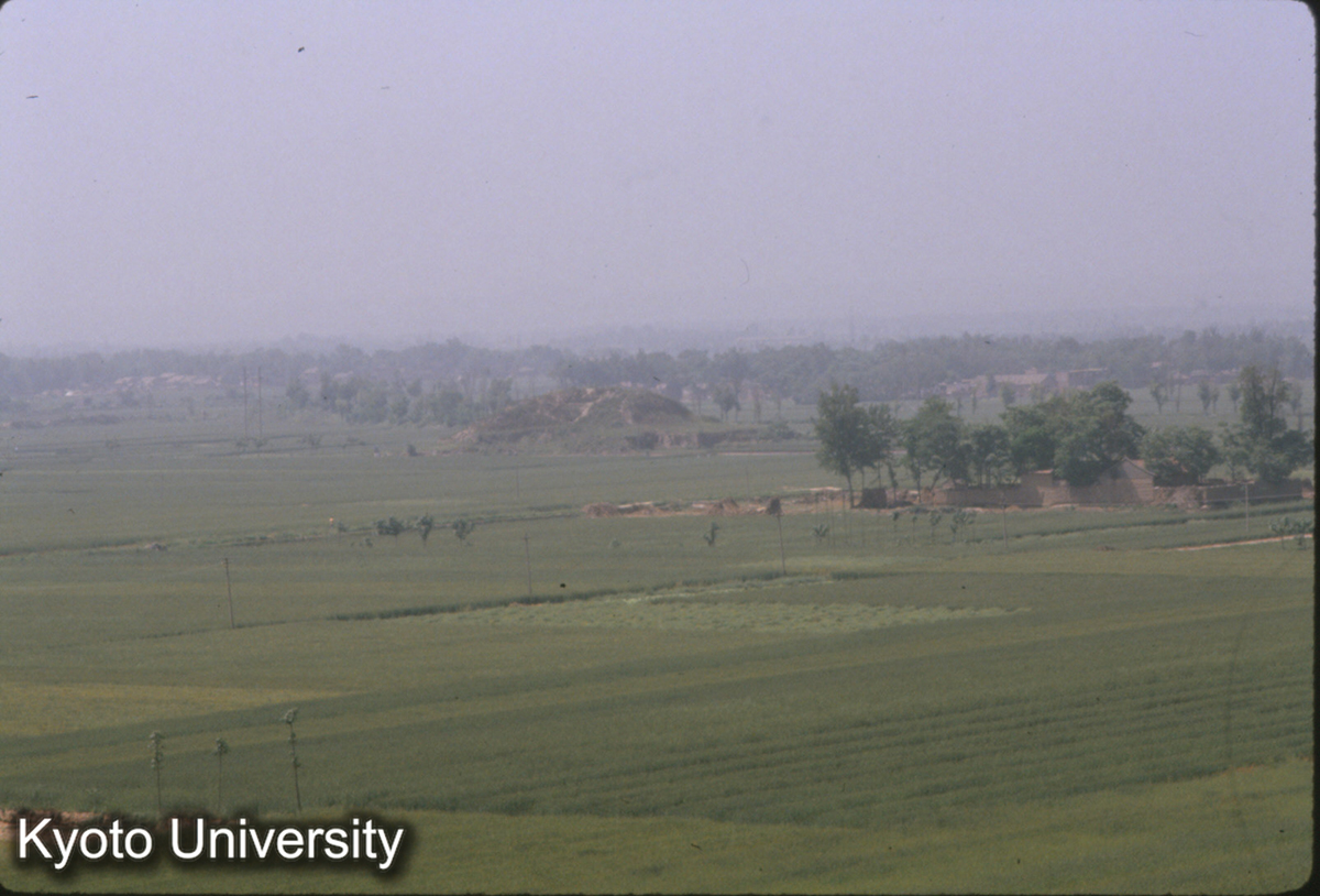 1391_石渠閣（墳丘状） (1)