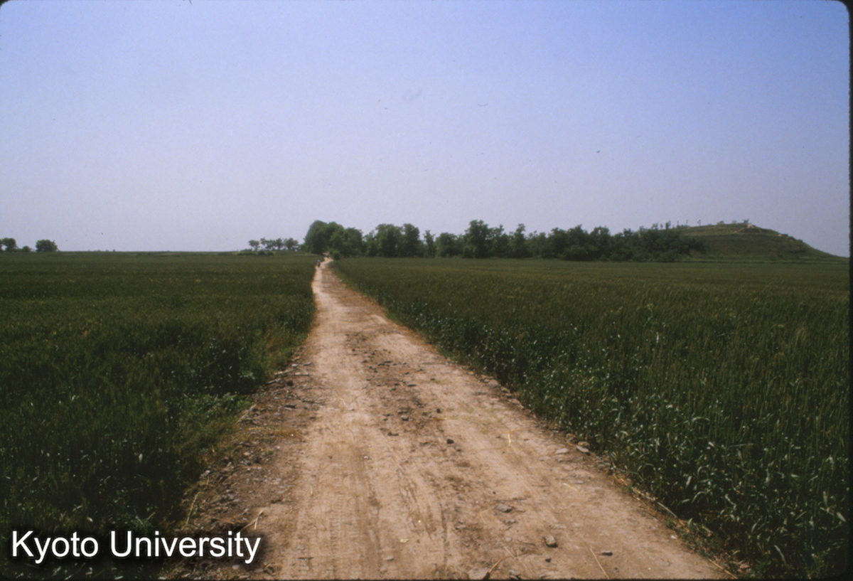 1402_漢未央宮前殿 東より遠望 路の左の樹木が南端 (1)