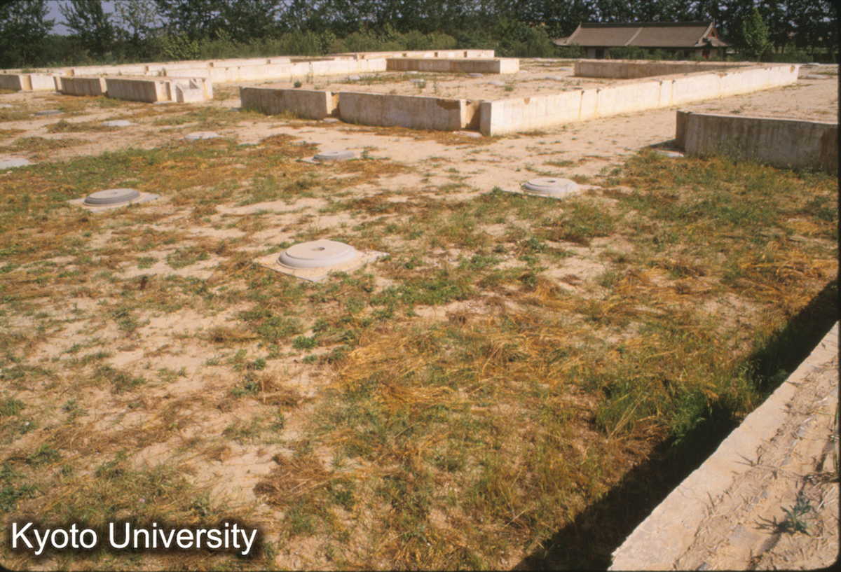 1410_大明宮麟徳殿址（復元） (1)