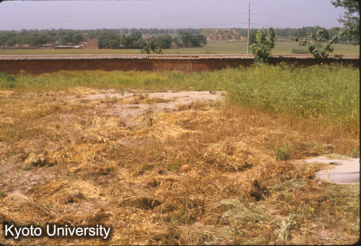 1411_古墳状⇒三清殿址 麟徳殿より北望 (1)