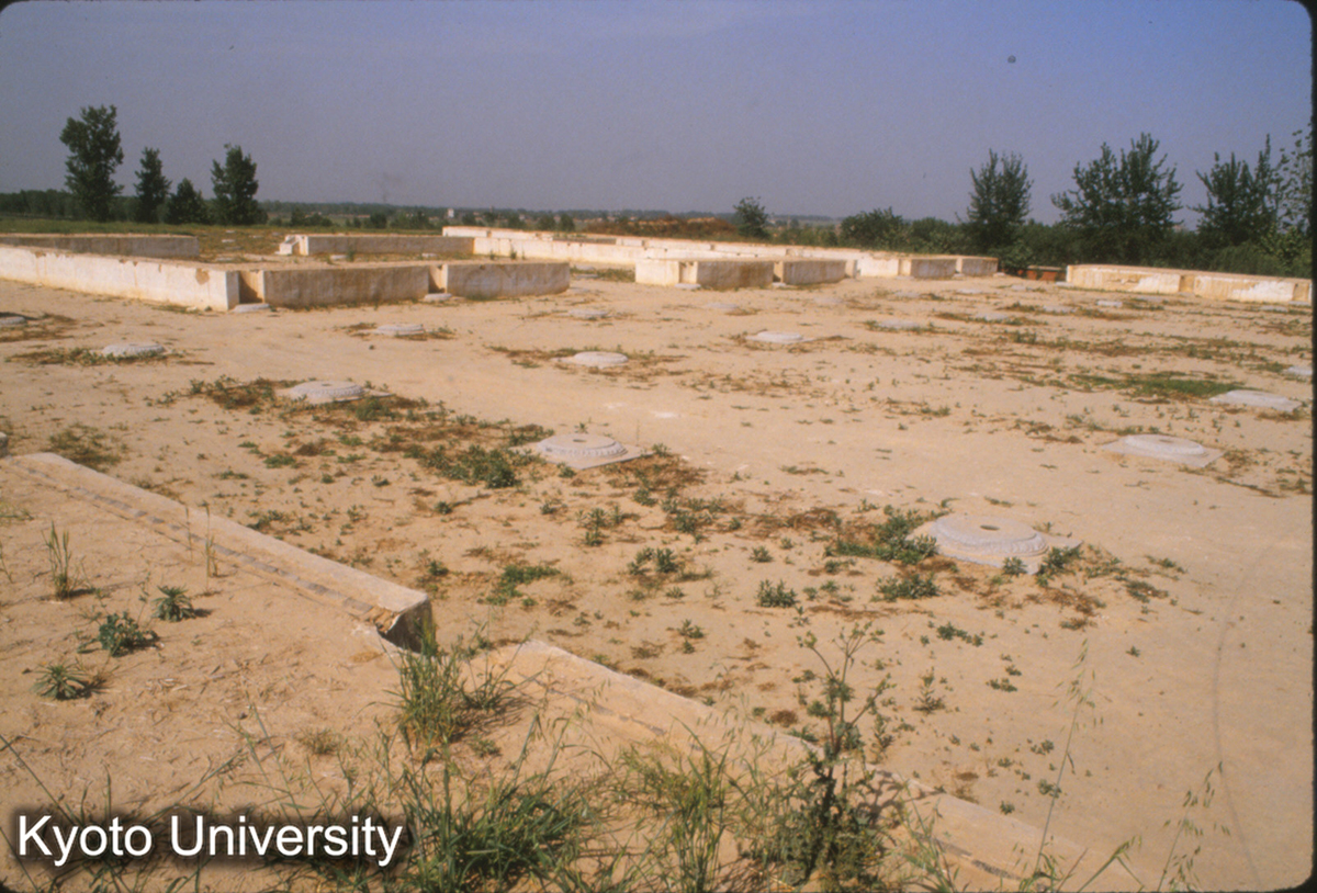 1415_大明宮麟徳殿復元台基 (1)