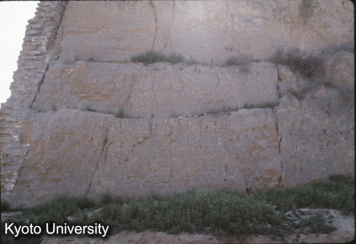 1430_唐長安含光門 明包磚、明夯土、唐夯土、明夯土 (1)