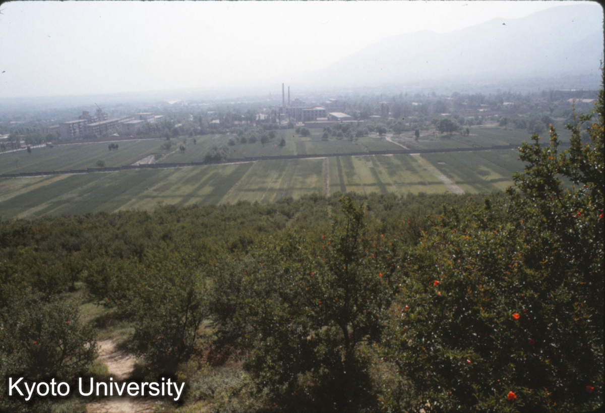 1433_秦始皇陵上より東北を遠望 兵馬俑博物館→かまぼこやね (1)