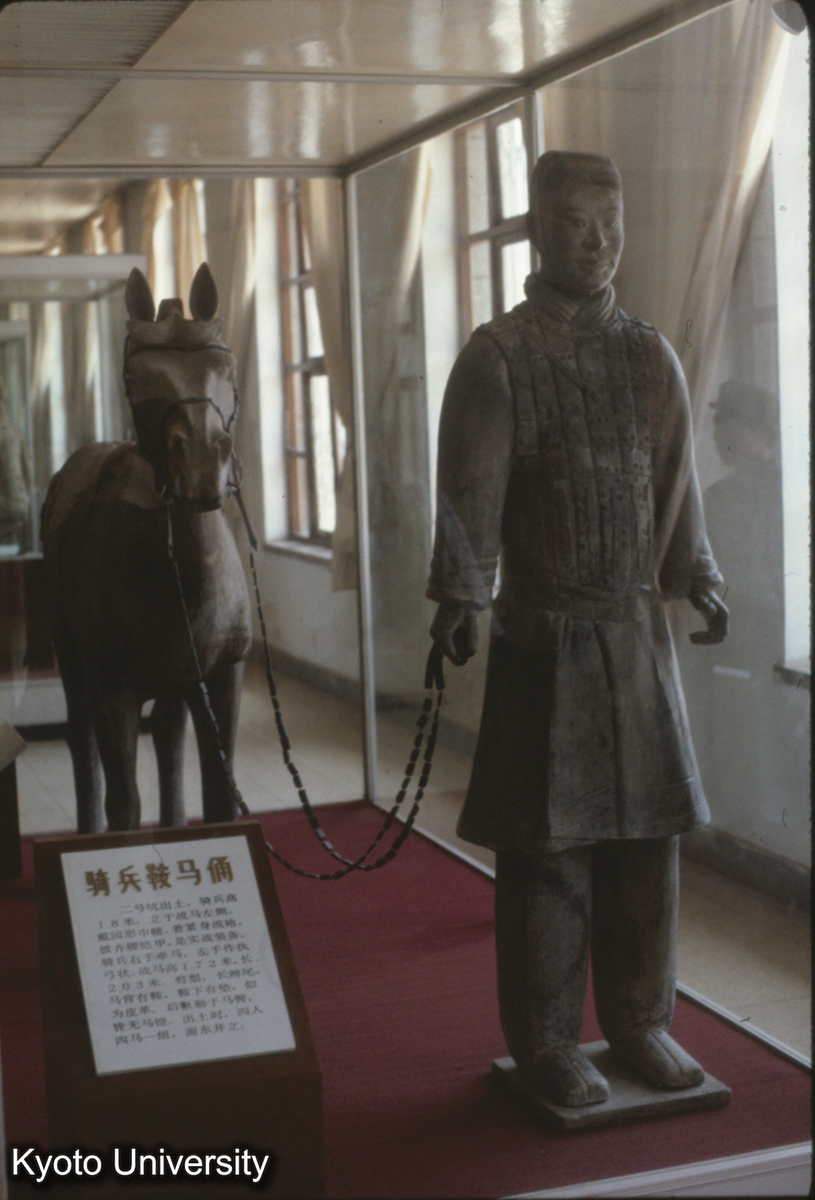 1439_騎兵鞍馬俑（2号坑出土） 兵馬俑博物館 (1)