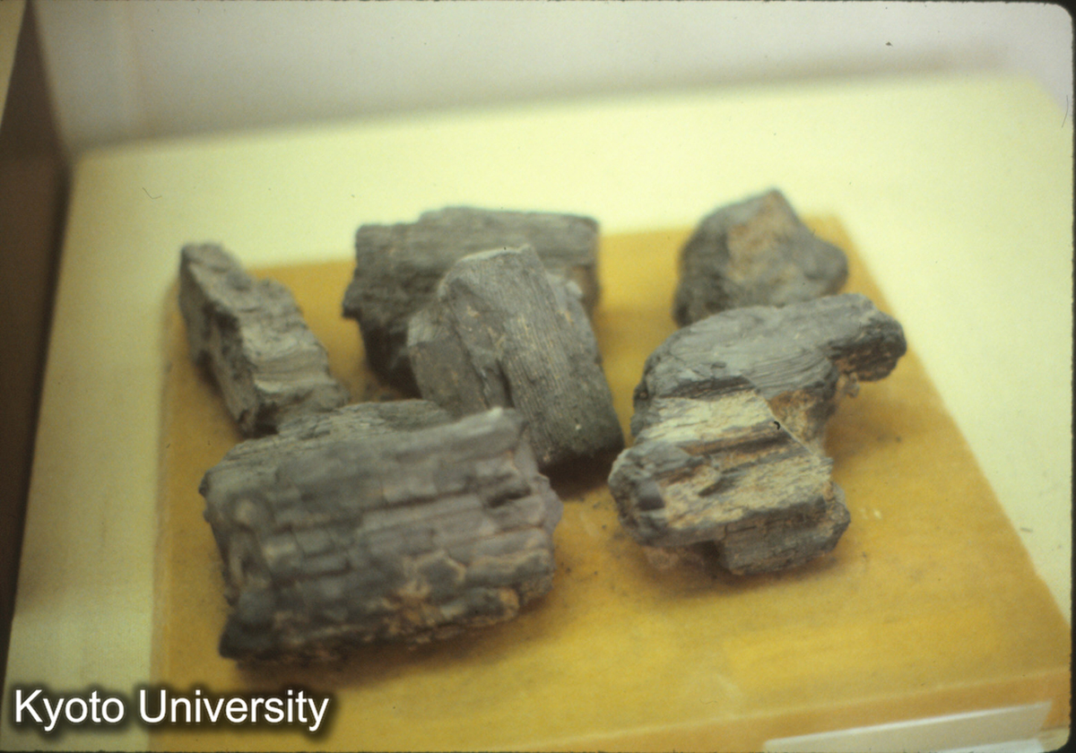 1441_兵馬俑坑木構建築構件 柱、枋類 （兵馬俑博物館） (1)