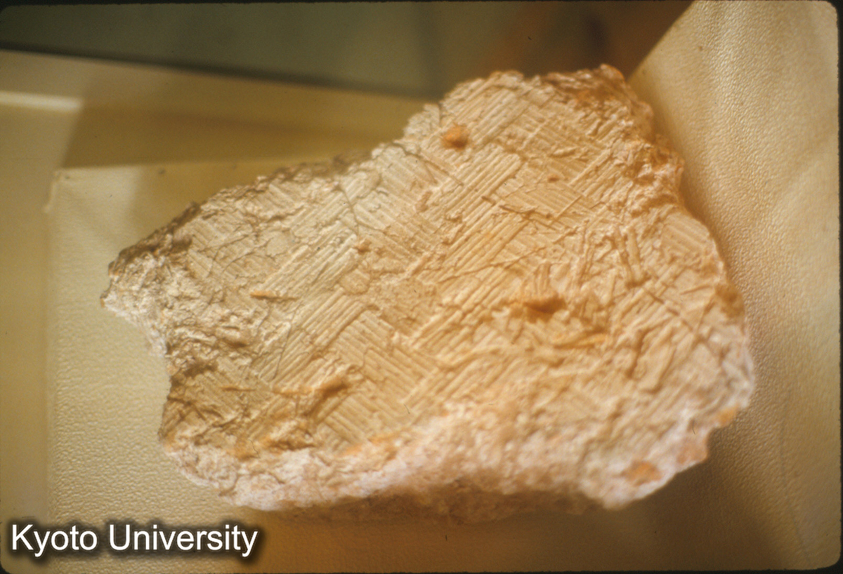 1463_秦宮1号遺址出土 墻皮（竹網代紋） 咸陽市博物館 (1)