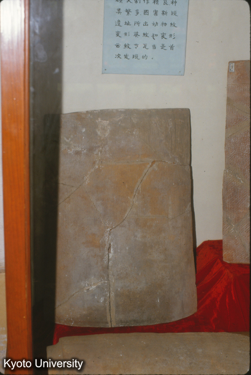 1474_板瓦 秦 牛羊村 (1)