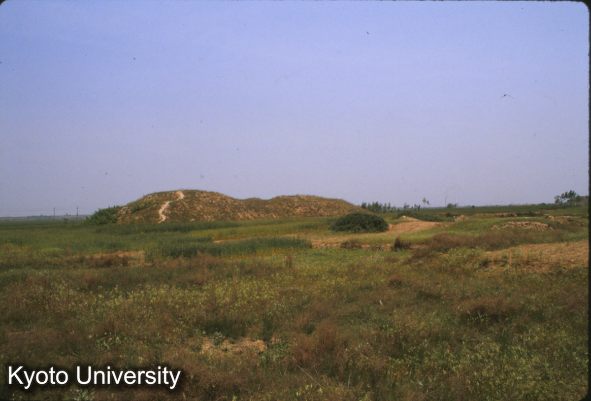 1495_秦咸陽1号宮殿址 北より全景 (1)