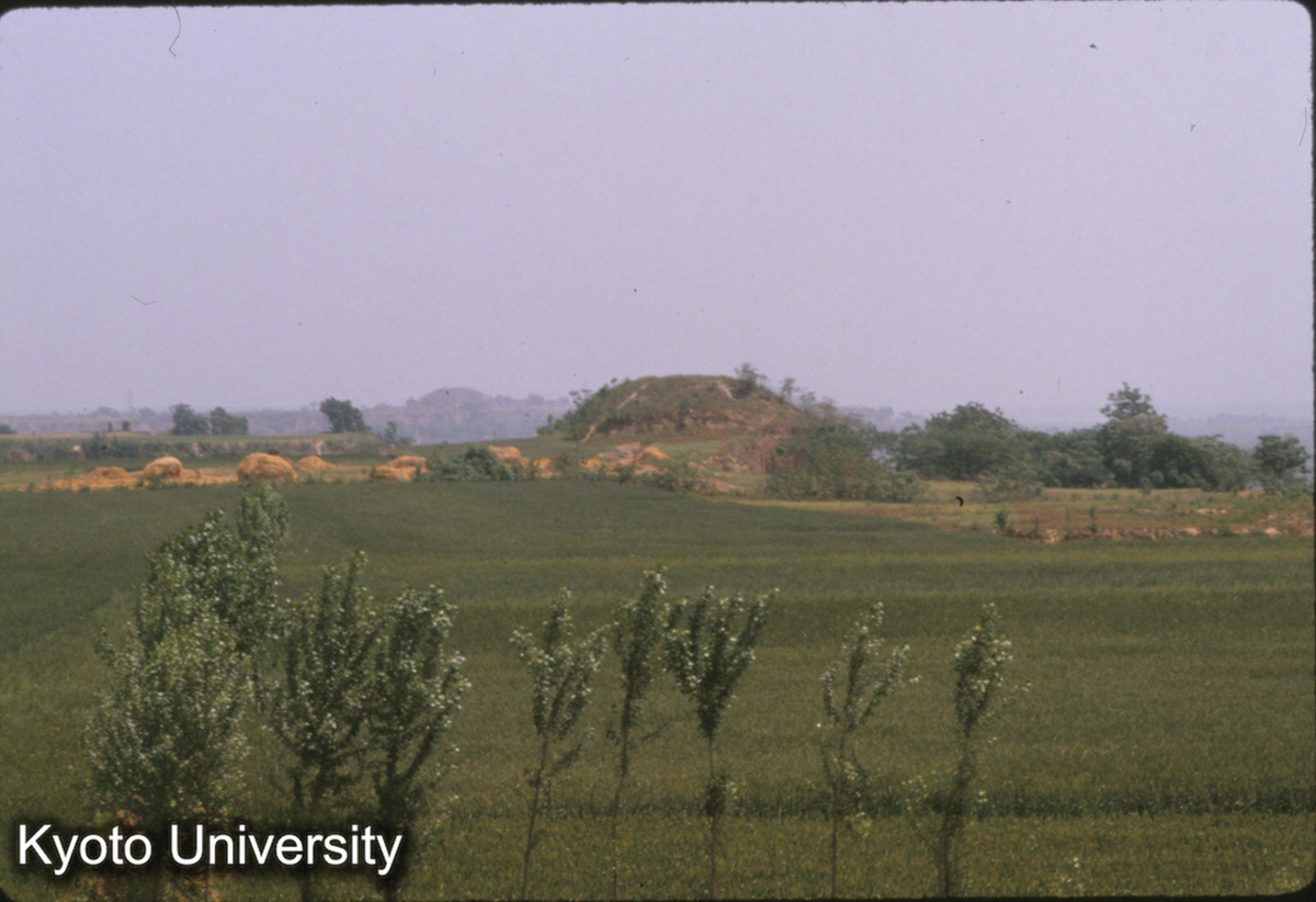 1497_秦咸陽2号宮殿址夯土台（牛羊溝のずっと東側） (1)