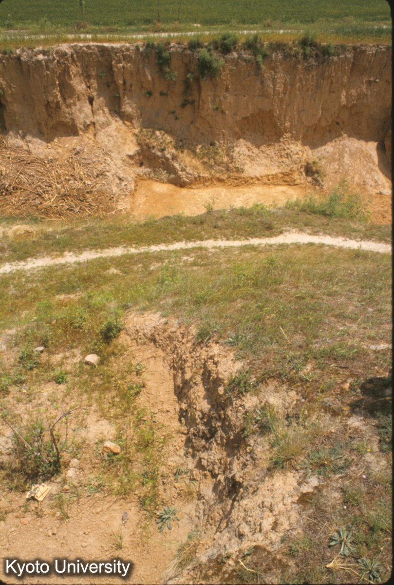 1501_牛羊溝東断面夯土層 秦咸陽宮1号遺址（東）からみる (1)