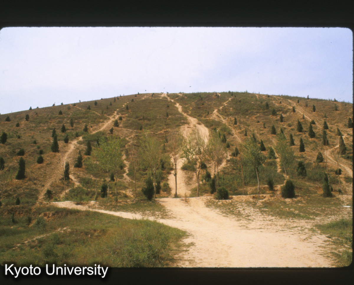 1528_漢武帝 茂陵 (1)