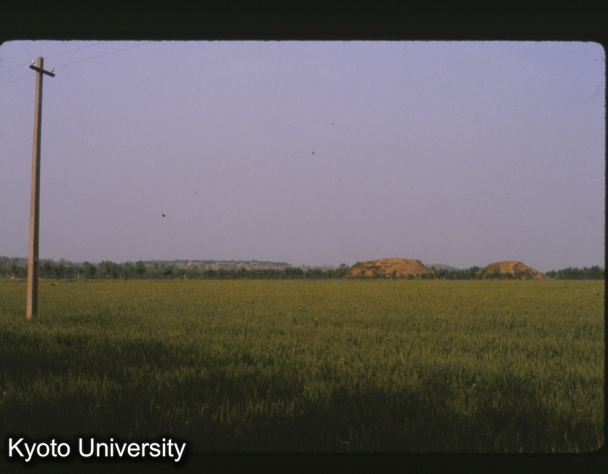 1529_茂陵 （南）陵闕 (1)