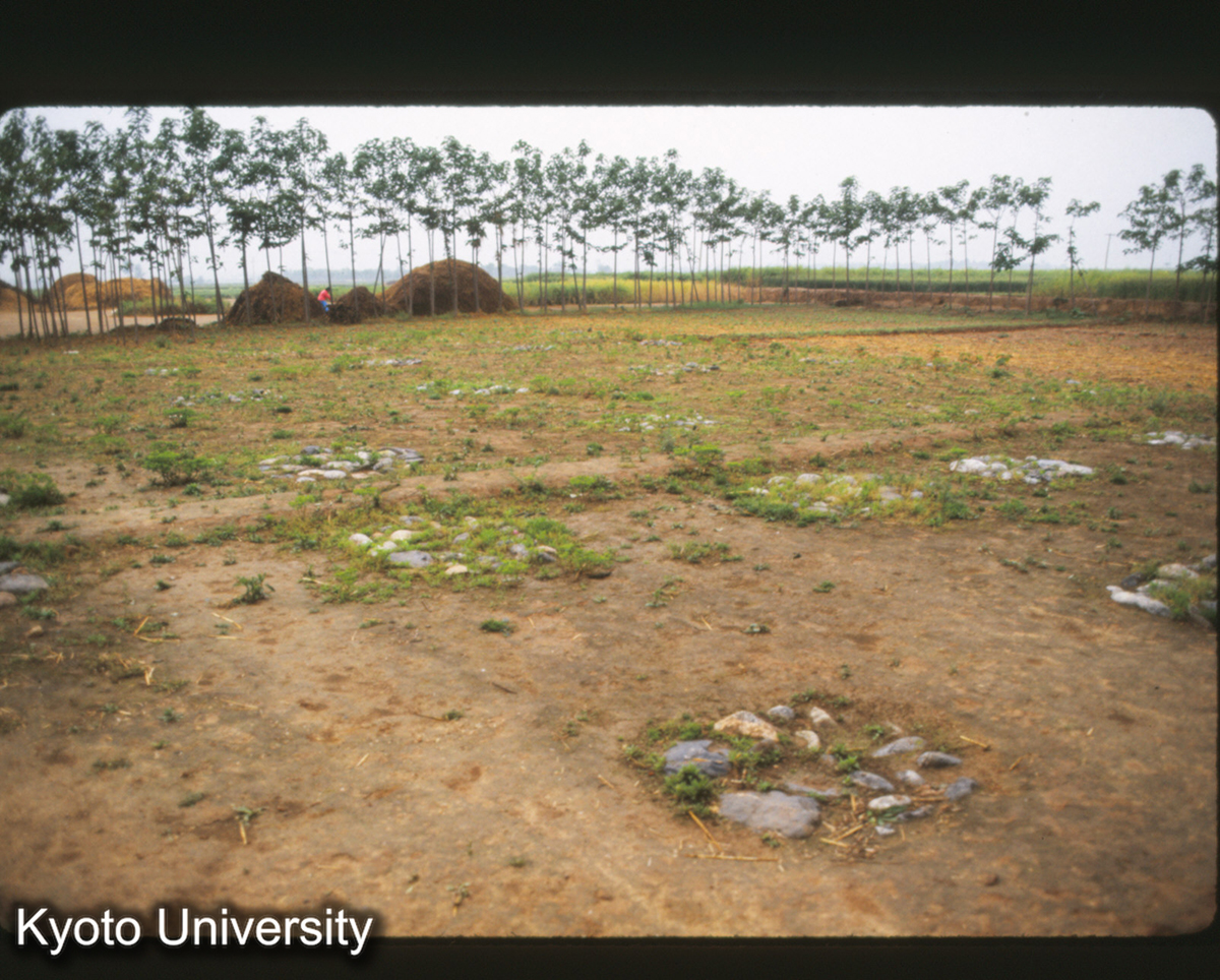 1557_扶風召陳F3柱礎復元 遺溝は地下1mに保存 (1)