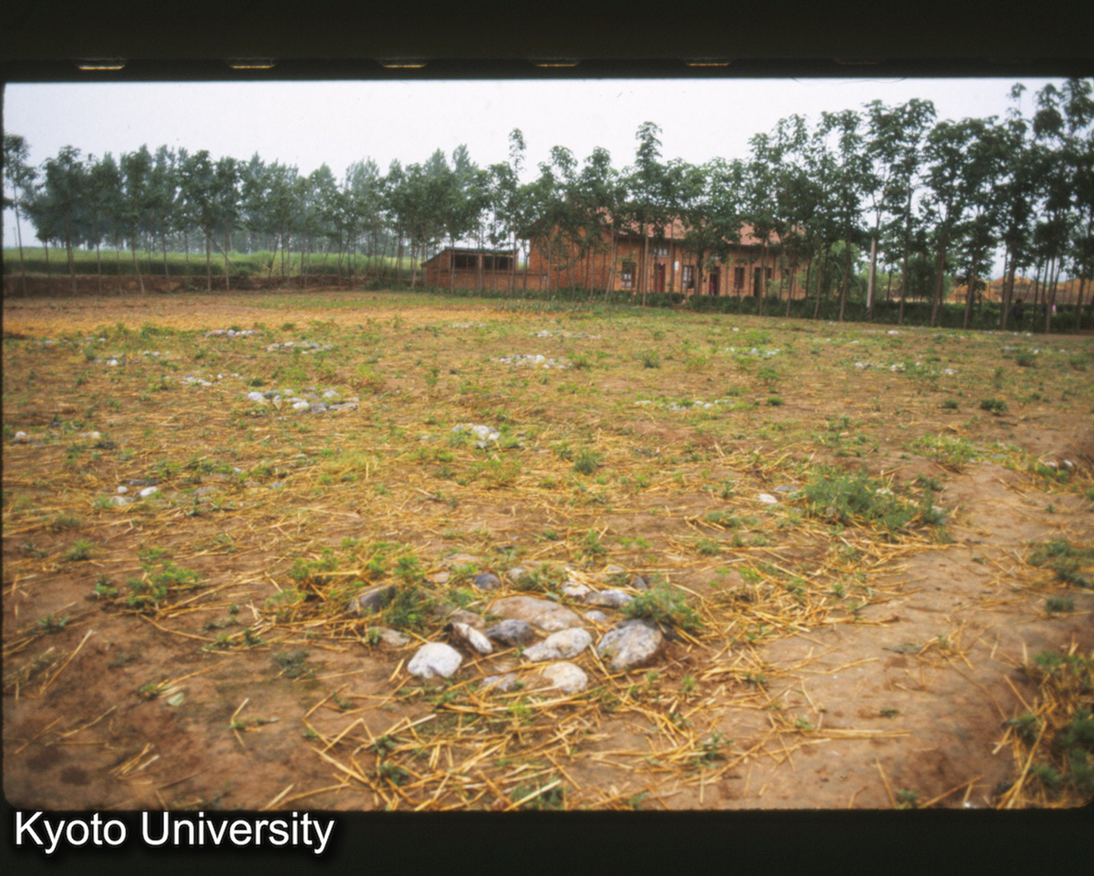 1560_扶風召陳F3（柱礎復元） 遺溝は地下1mに保存_87 (1)