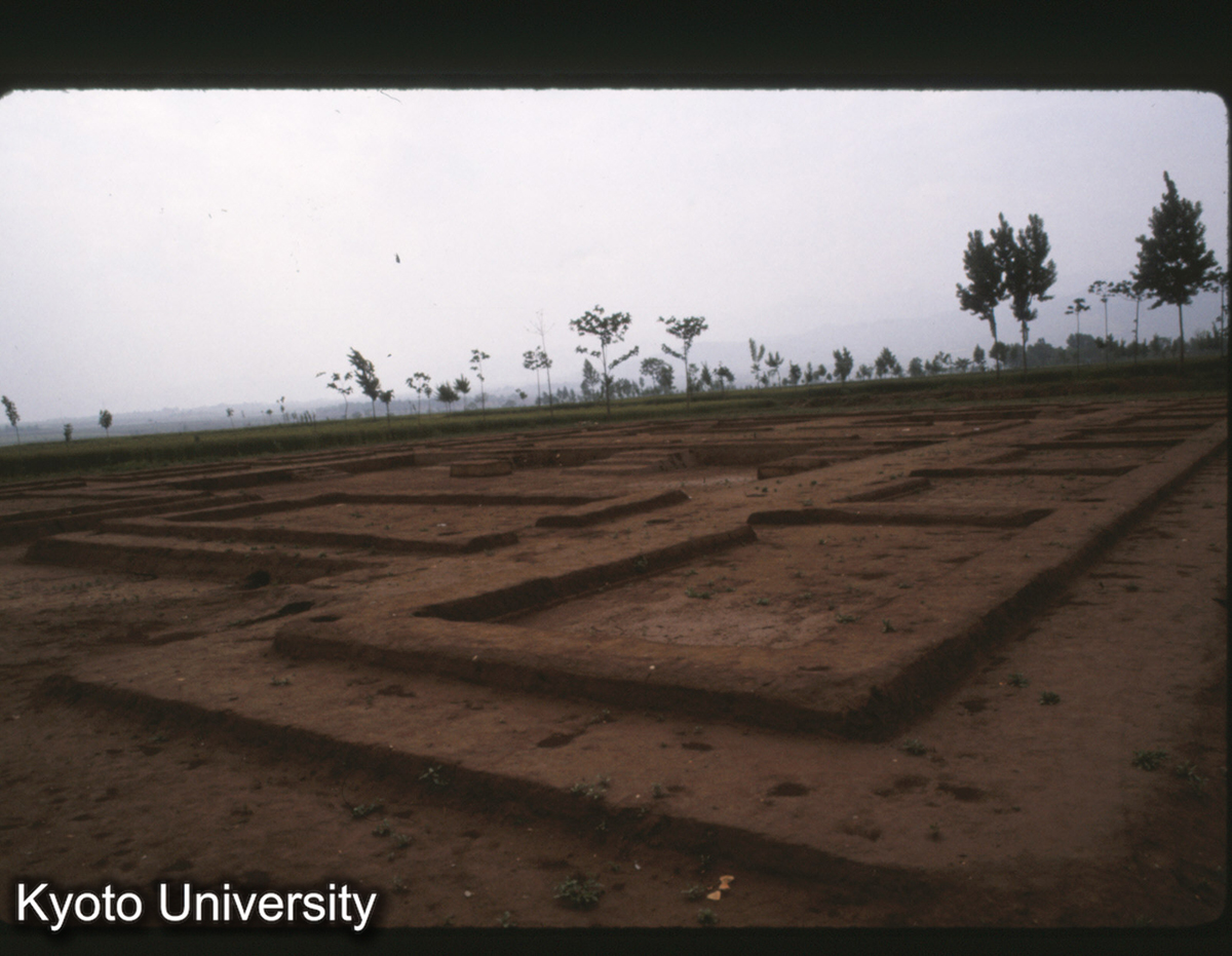 1563_岐山鳳雛 甲組遺址 (1)