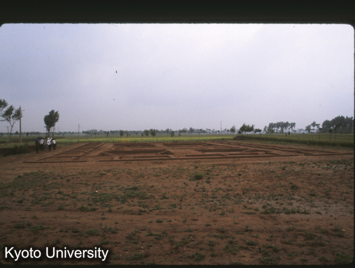 1571_岐山鳳雛 甲組 全景（背面より） (1)