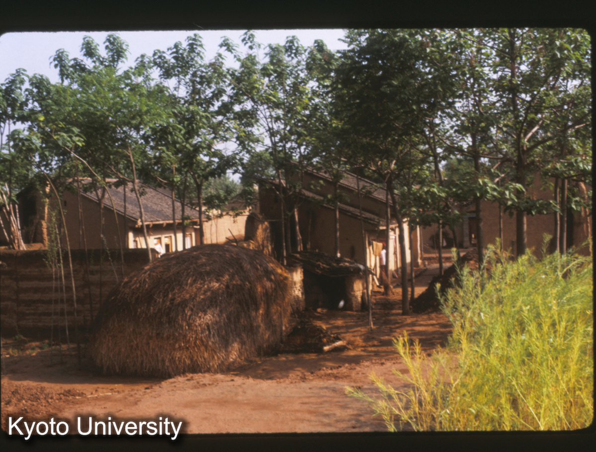 1575_鳳翔 民居 (1)