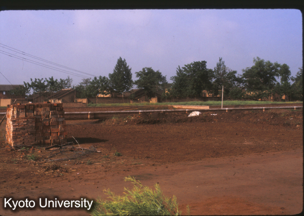 1576_鳳翔 秦雍城1号大墓 (1)
