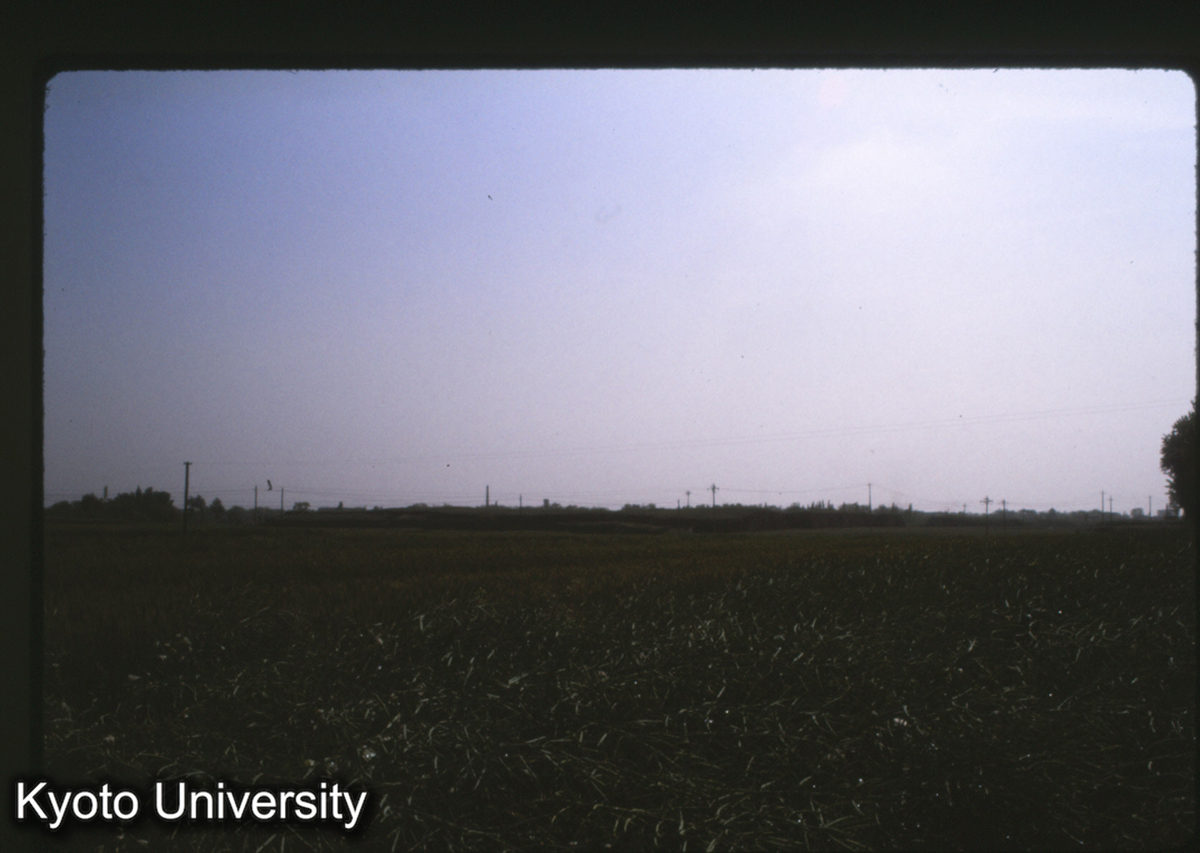 1582_鳳翔 秦 雍城 北寄りの東西路上より東北方向をみる（北墻は明城のもっと北） (1)