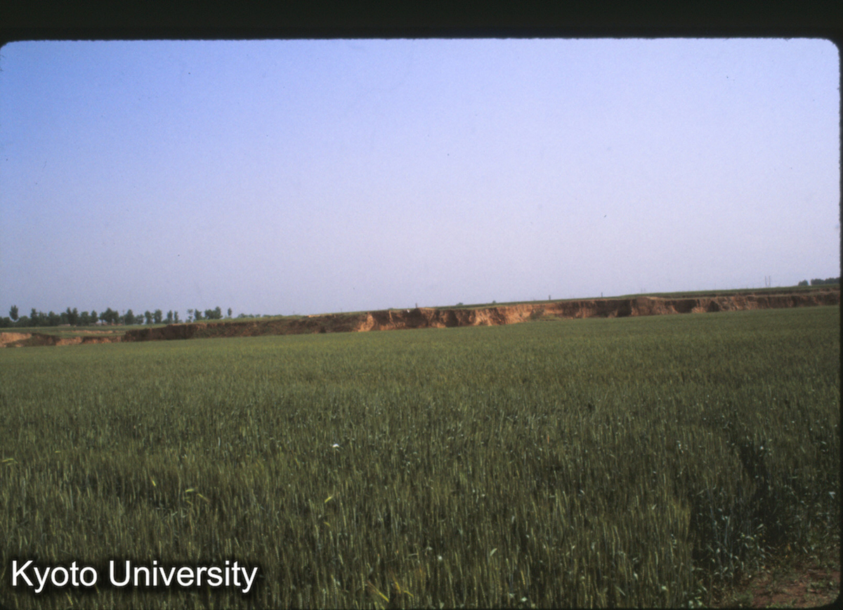 1584_鳳翔 明代城墻 西南角（秦雍城北墻は更に50m北） (1)