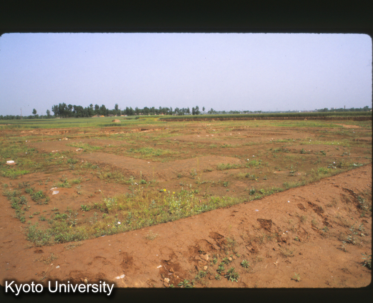 1585_鳳翔馬家荘1号遺址 (1)
