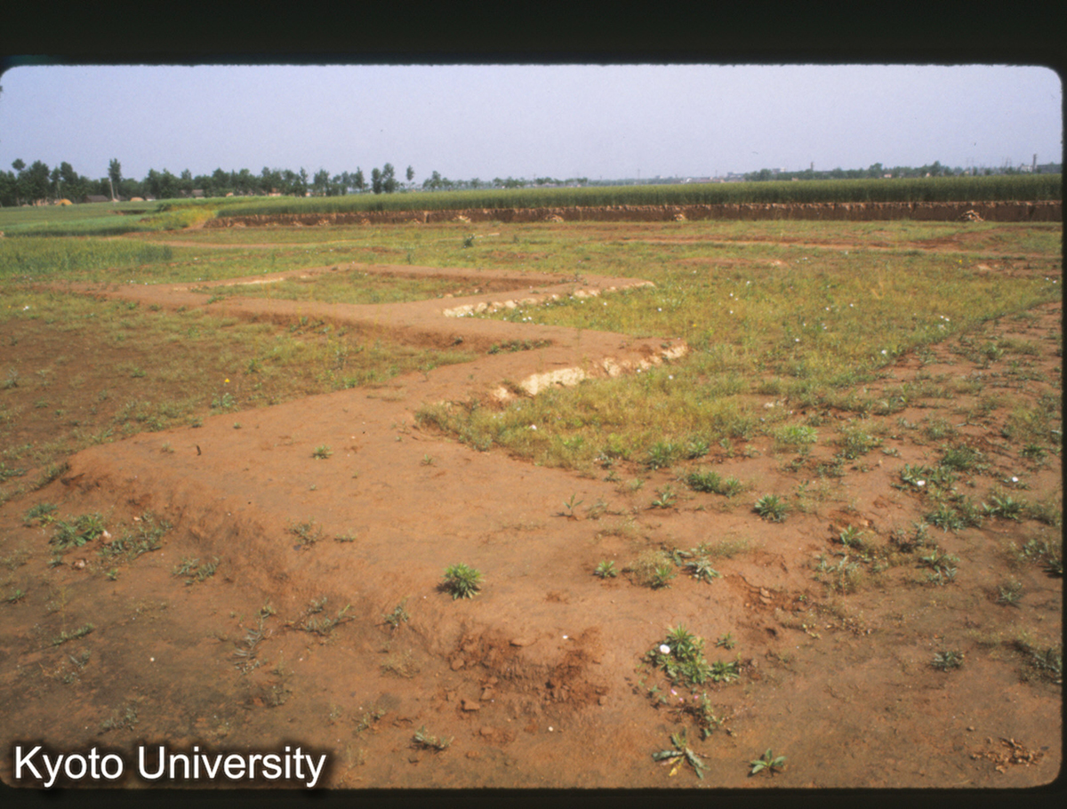 1586_鳳翔馬家荘1号遺址 北棟（太祖廟） (1)