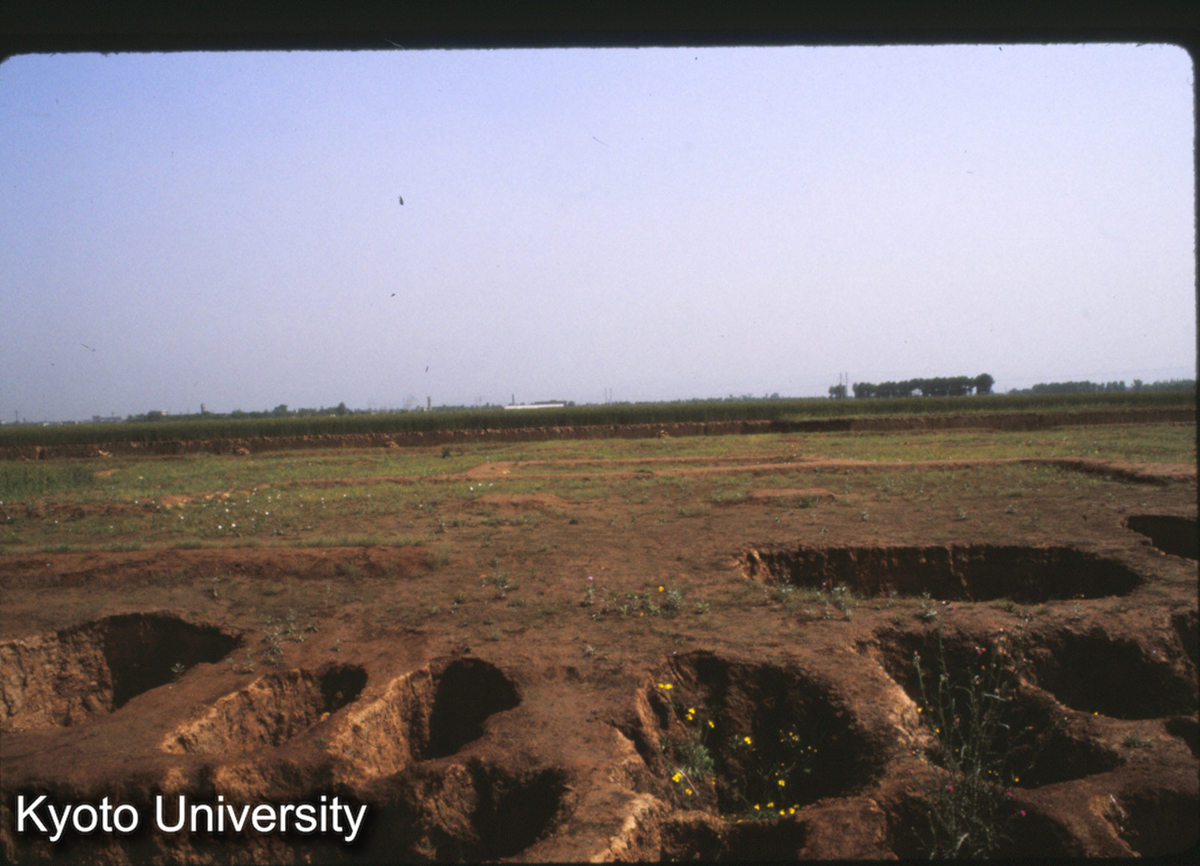 1587_鳳翔馬家荘1号遺址 中庭 祭祀坑から西（穆廟）をみる (1)