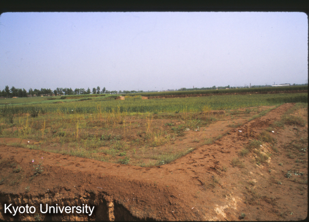 1588_鳳翔 馬家荘1号遺址 門・塾（西からみる） (1)