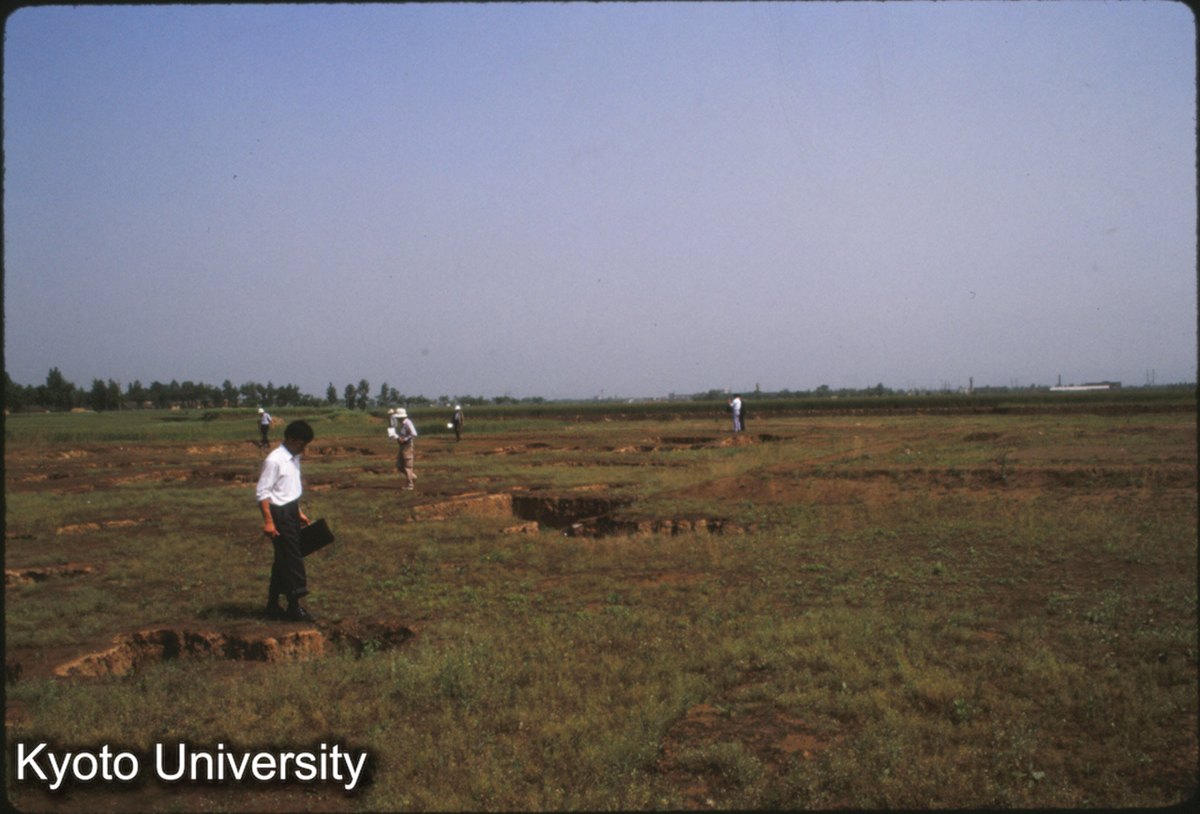 1591_鳳翔 馬家荘1号 (1)