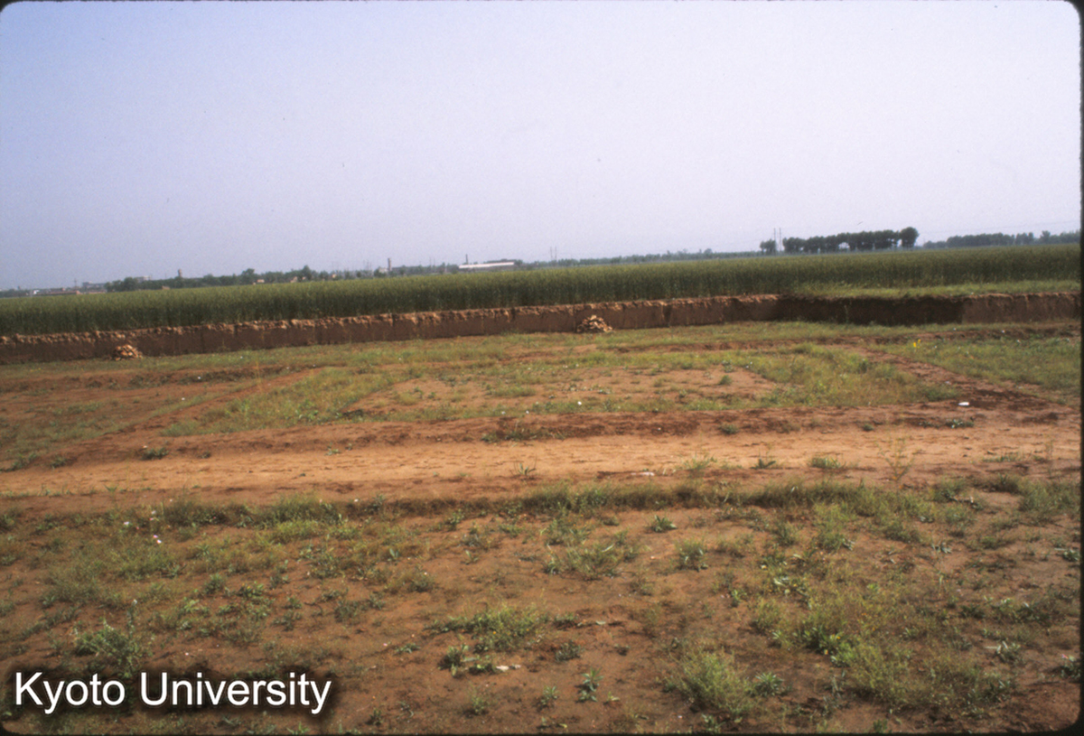1595_鳳翔馬家荘1号遺址 「亭台」（榭？） (1)
