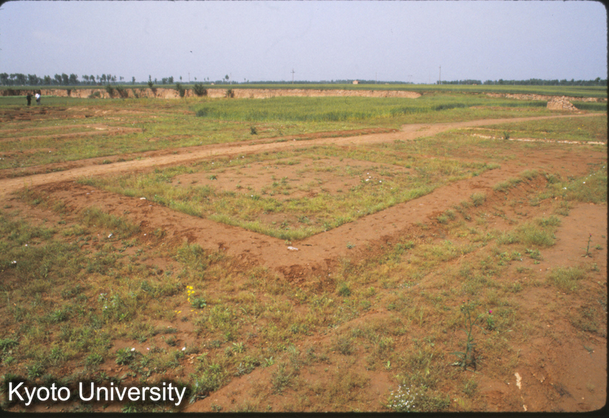 1596_鳳翔馬家荘1号遺址 "亭台" (1)