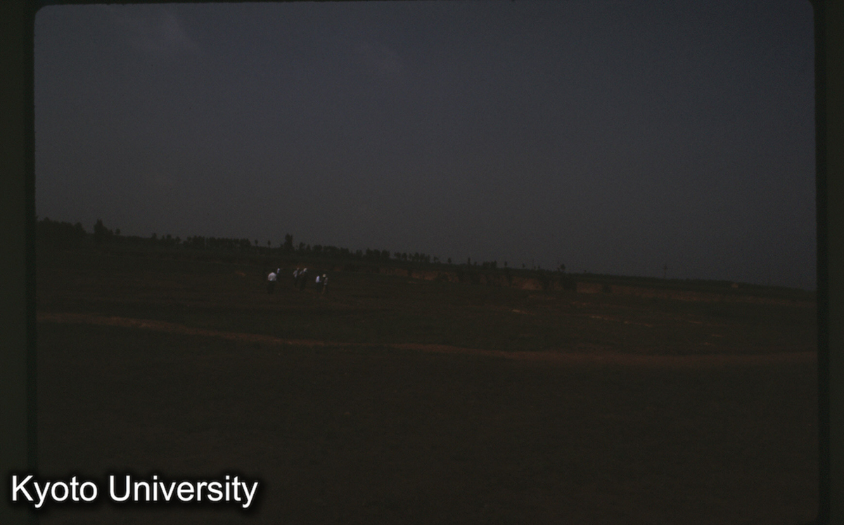 1597_鳳翔馬家荘1号 (1)