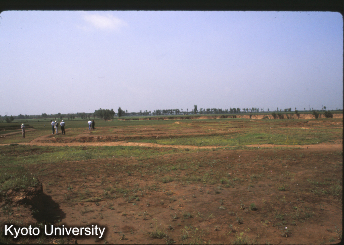 1599_鳳翔馬家荘1号 (1)
