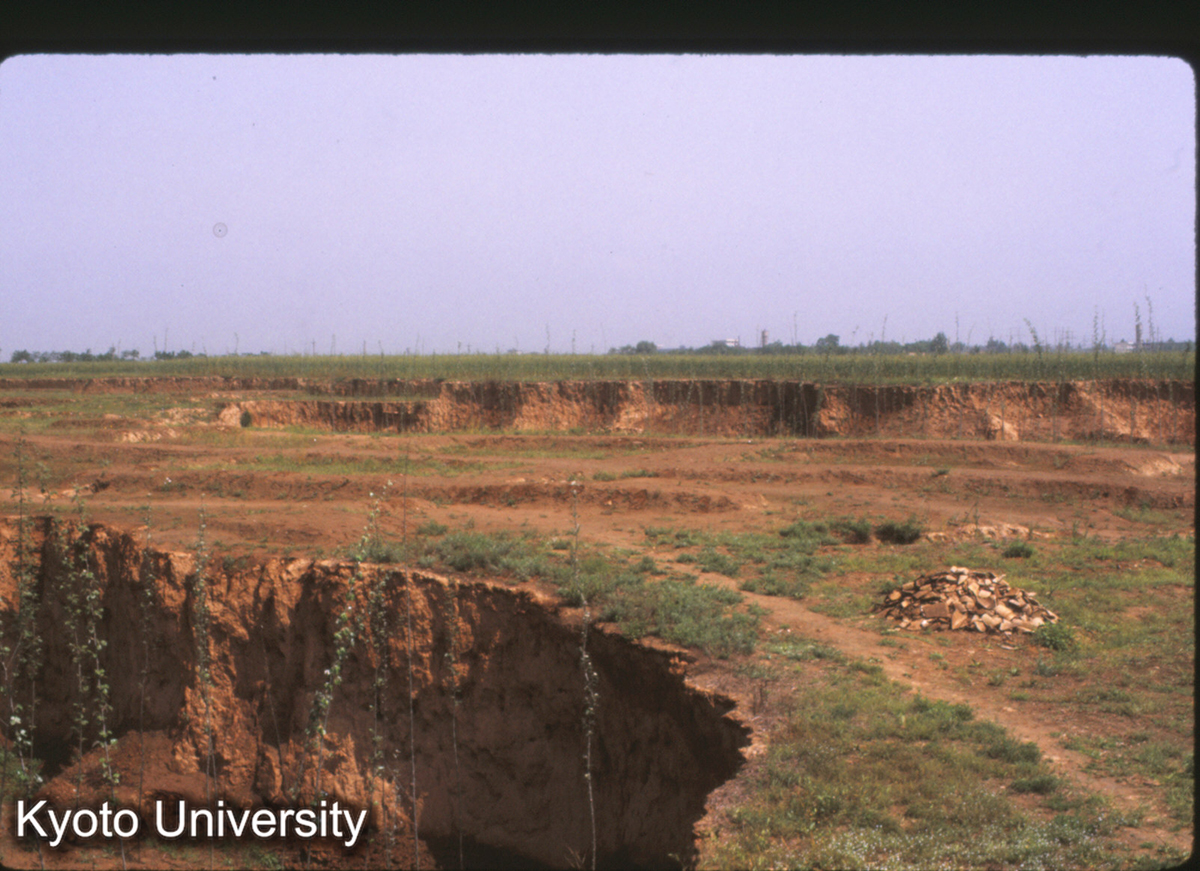 1609_鳳翔馬家荘1号遺址 東張り出し部 (1)