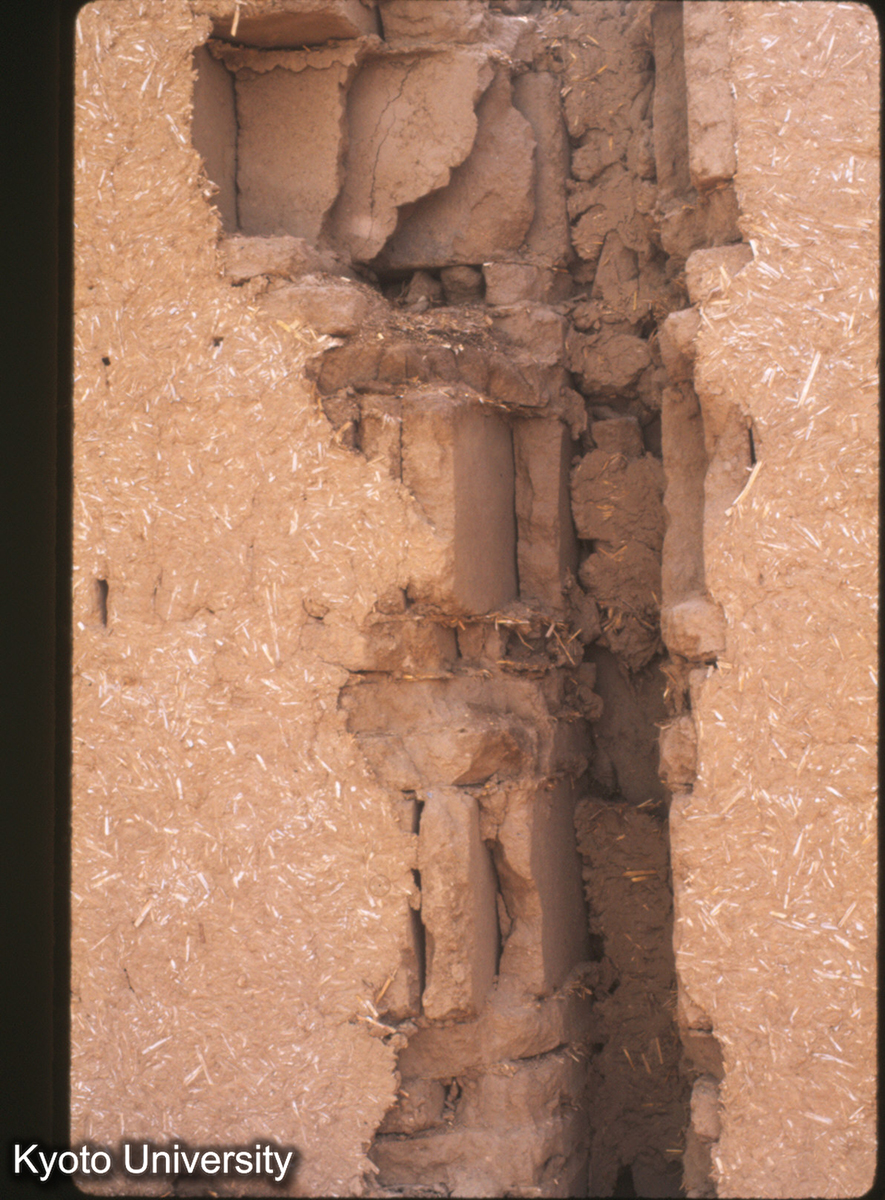 1610_鳳翔 民居 西北地方 土坯墻 (1)