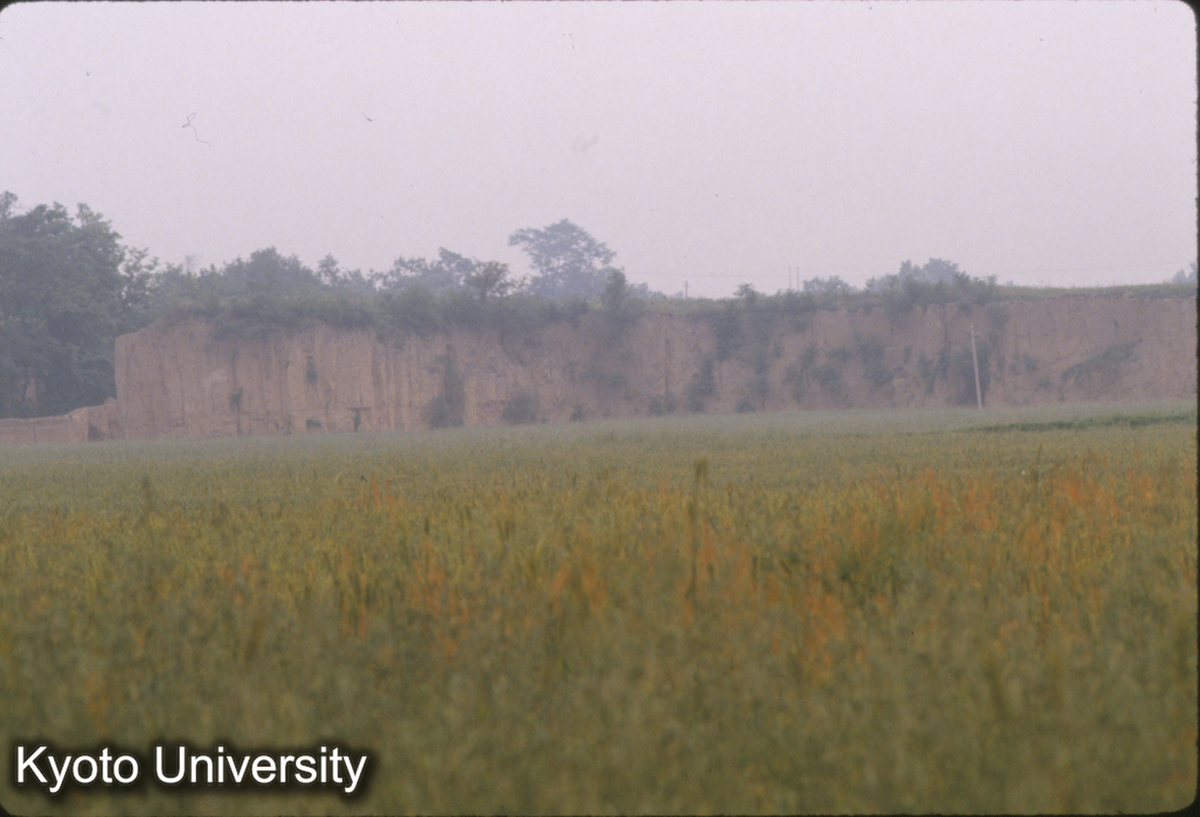 1650_阿房宮遺址 東西1200m×南北500m 南が高い (1)