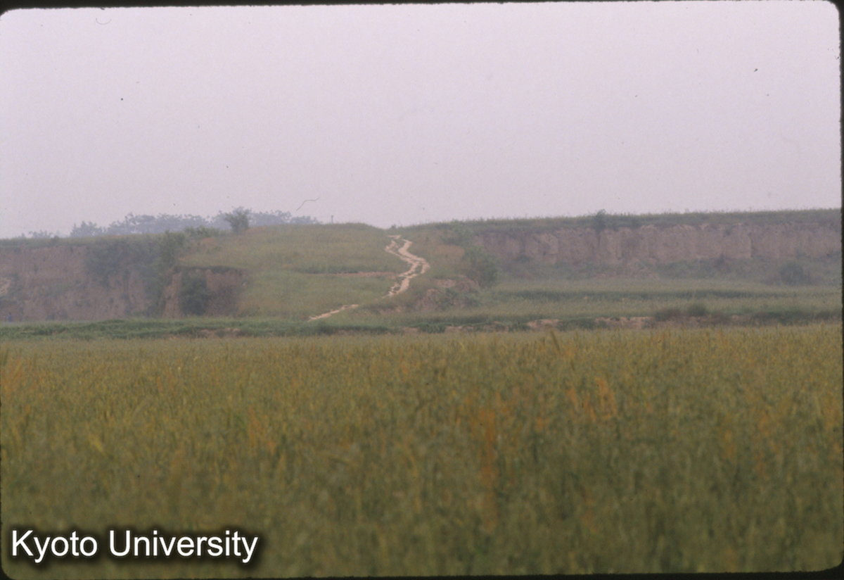 1651_阿房宮遺址 西南角 （常家村） 夯土残高 北側7m、南側3m (1)