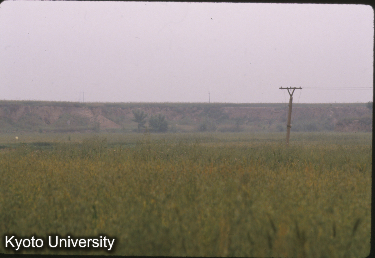 1652_阿房宮遺址 (1)