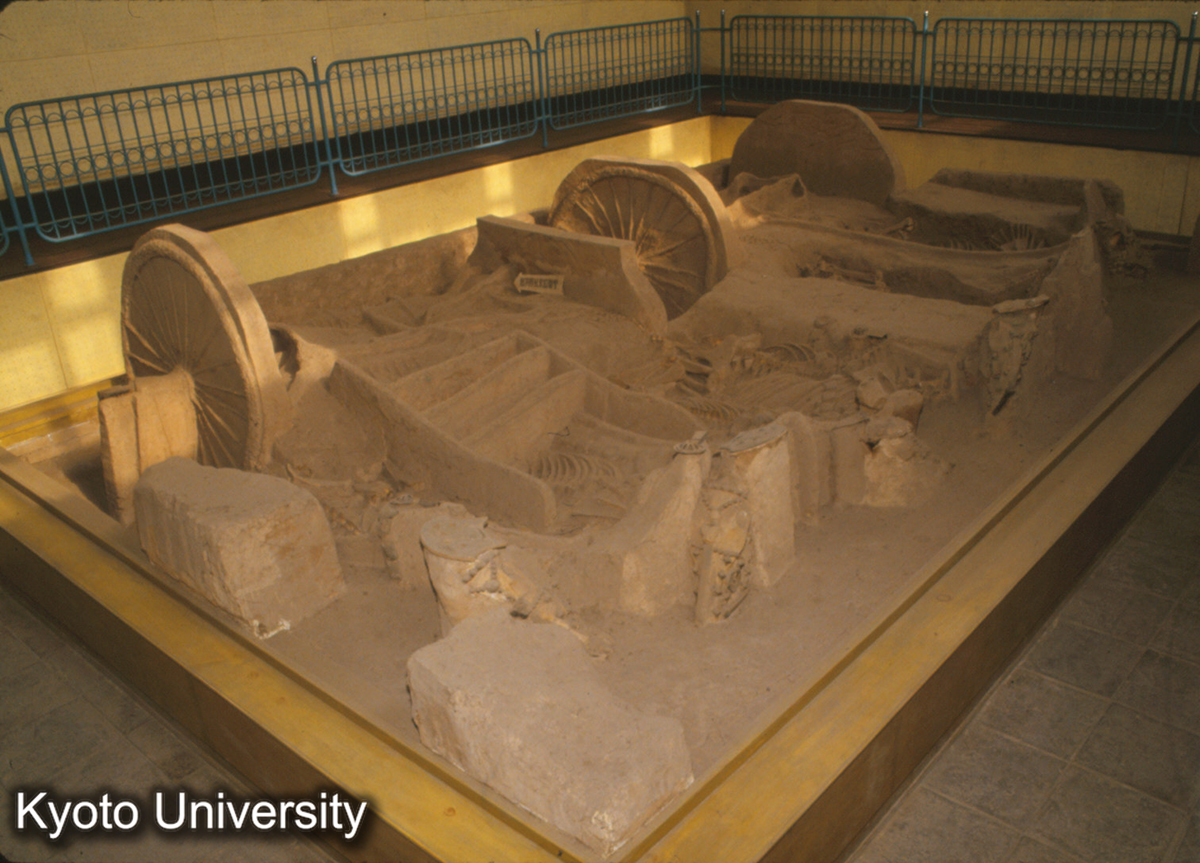 1655_西安 西周車馬坑 (1)