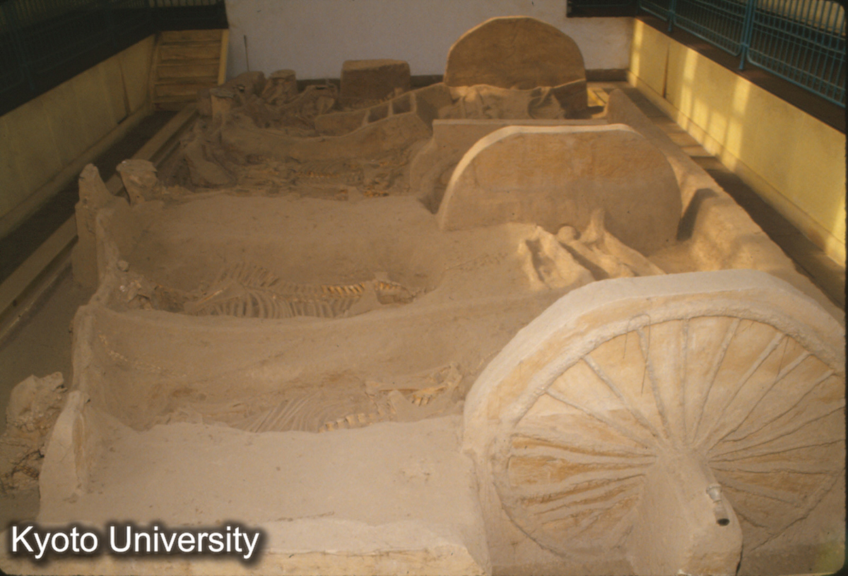 1658_西周車馬坑 (1)