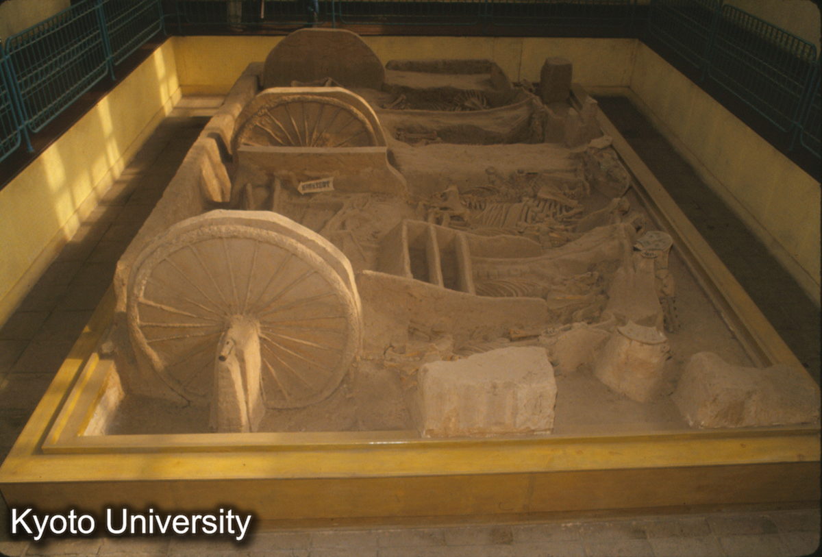 1660_西安 西周車馬坑 (1)