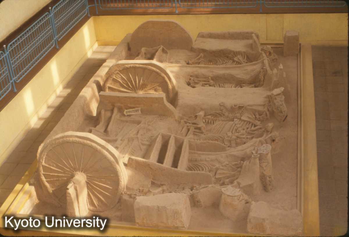 1666_西安 西周車馬坑 (1)