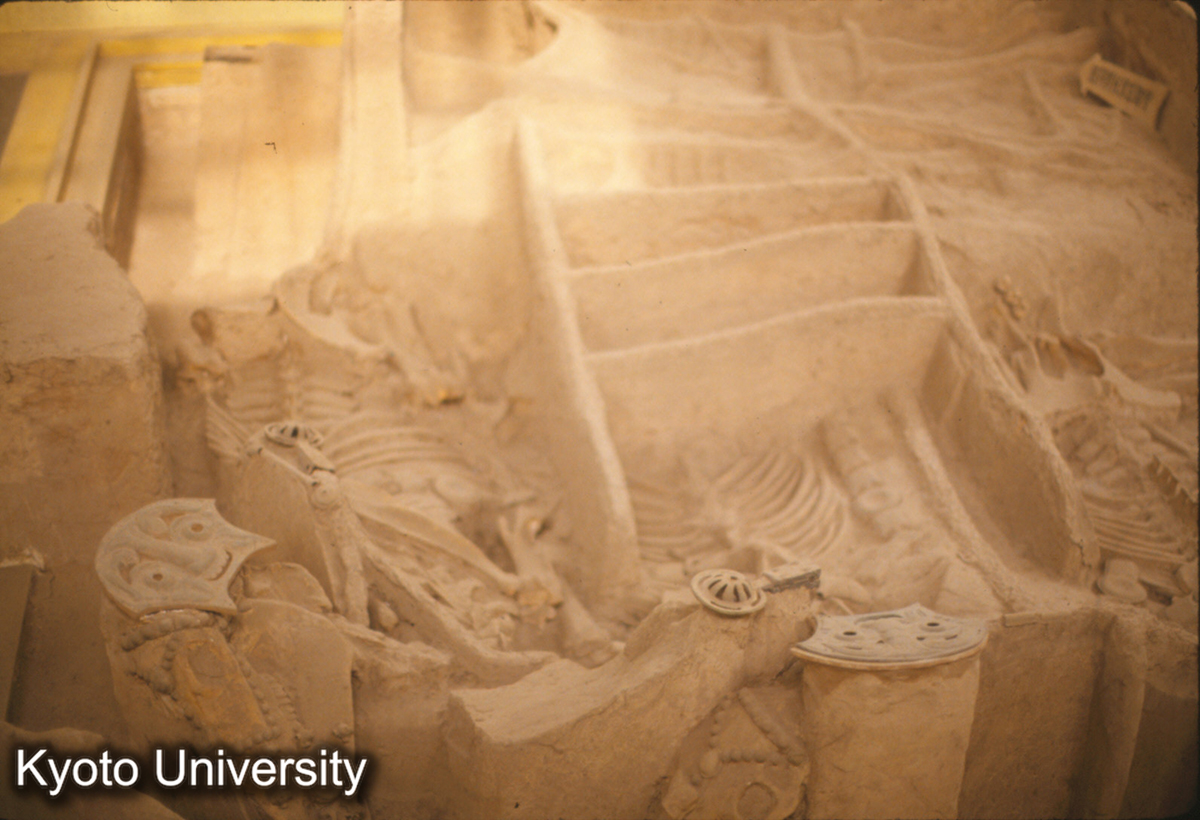 1667_西安 西周車馬坑 (1)