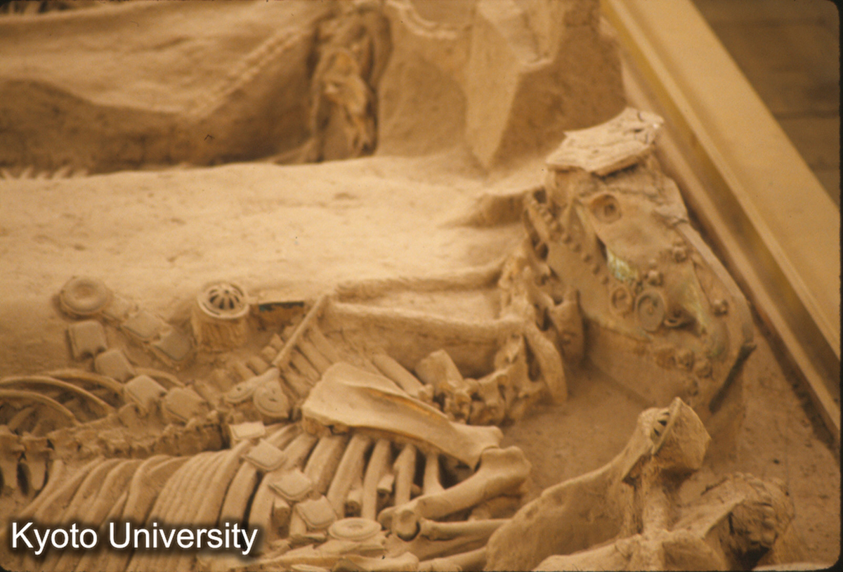 1671_西安 西周車馬坑 (1)