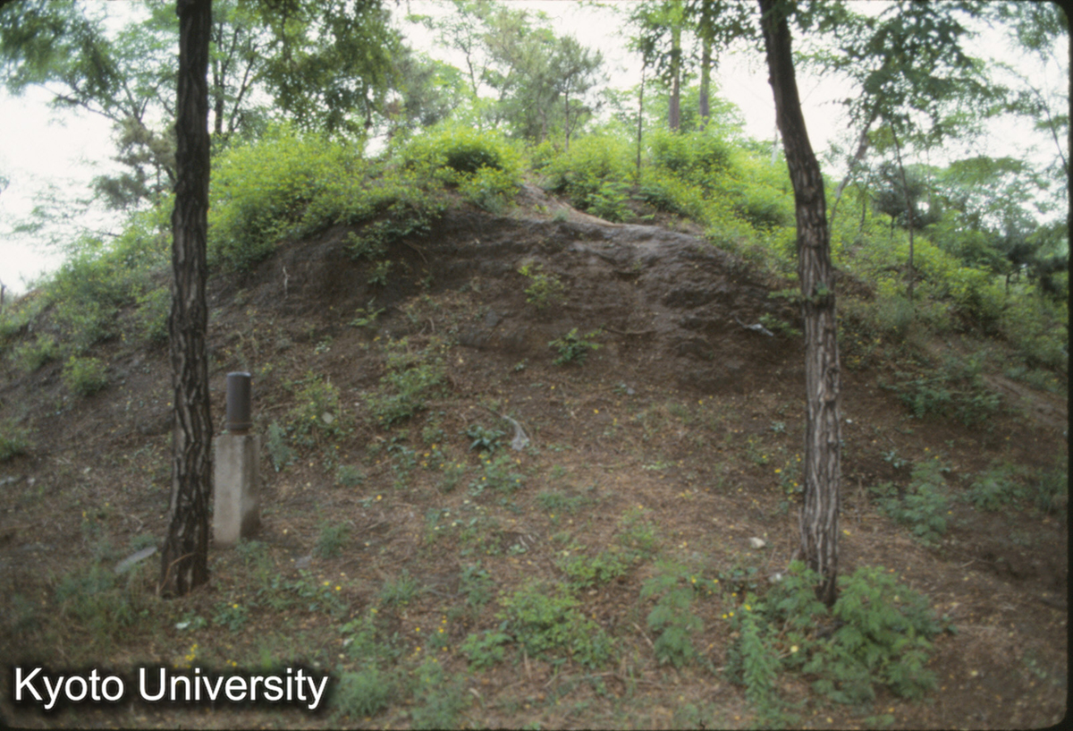 1813_元大都 北土城 (1)