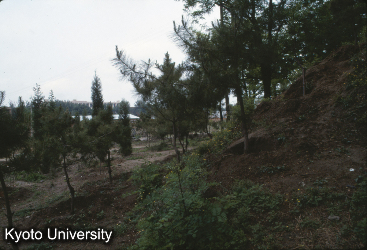 1814_元大都 北土城 (1)