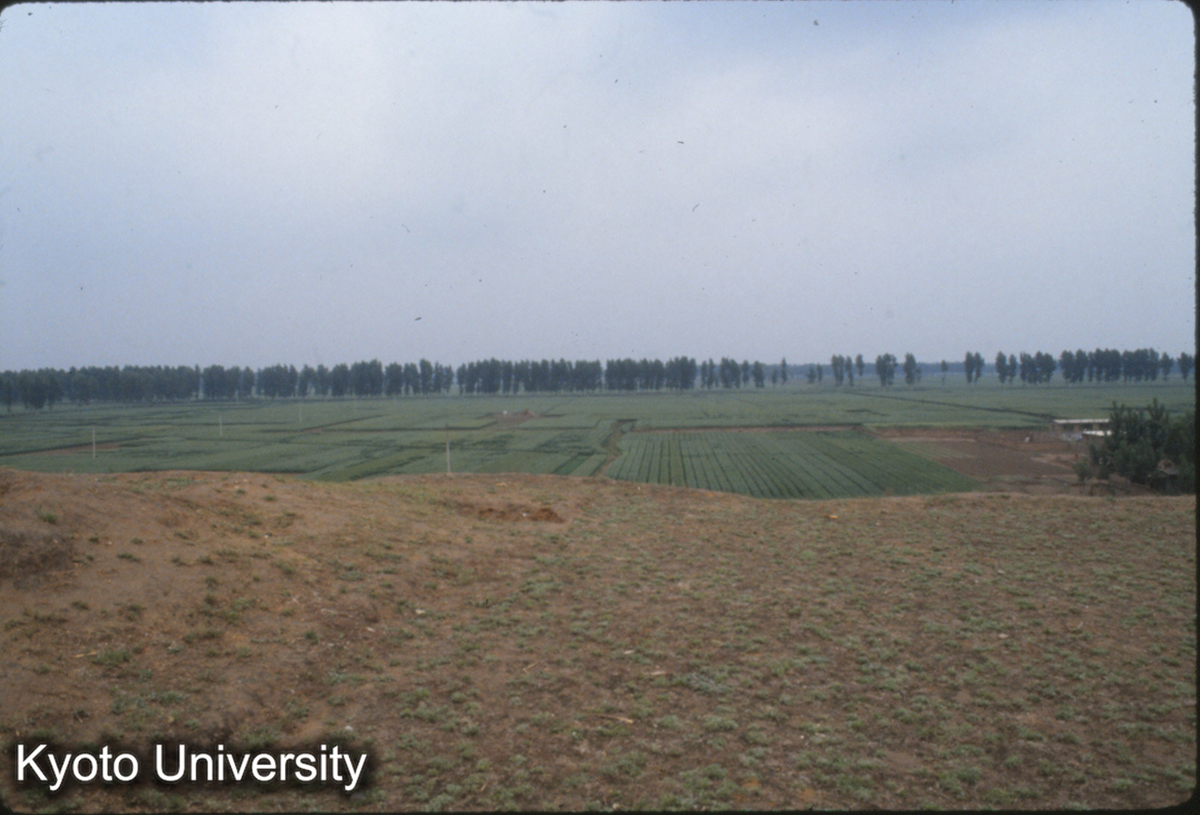1880_武陽台の上から北に望景台・張公台を望む (1)